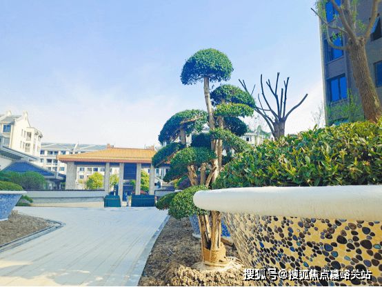 售楼处网站-楼盘详情-上海房天下j9平台上海泗泾绿中海2024(图21)